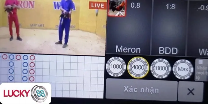 Mẹo hay đá gà hiệu quả