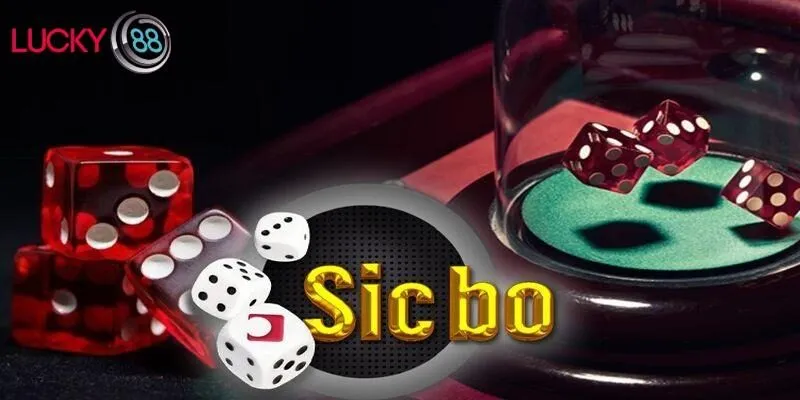 Cách soi cầu sicbo chuẩn nhất để dễ dàng chiến thắng