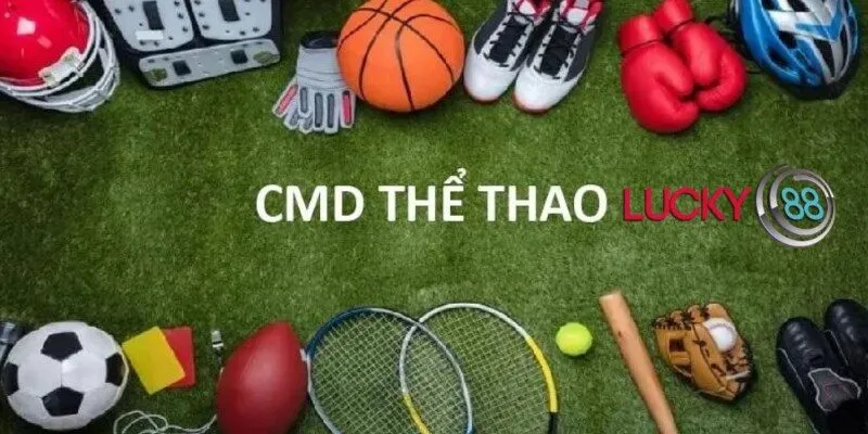 Nhiều anh em ưa chuộng cá cược môn thể thao CMD