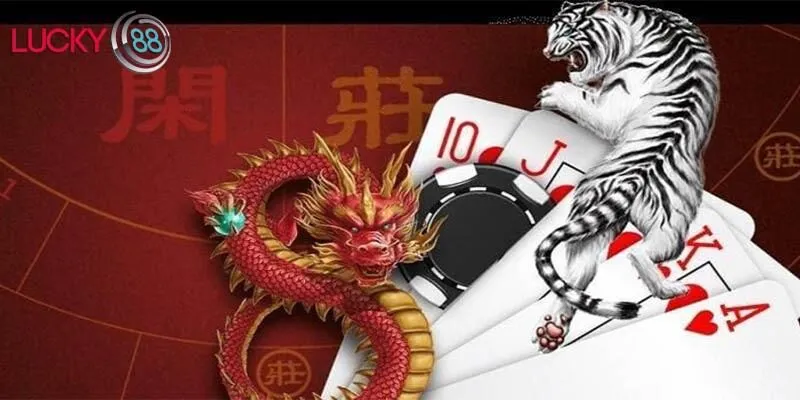 Cao thủ chơi Rồng hổ Lucky88 đưa ra chiến thuật cược thông minh