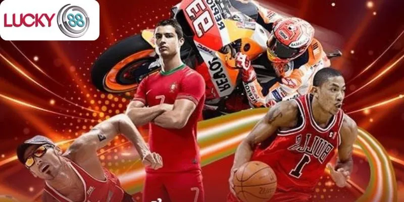 Tổng quan về SBO thể thao