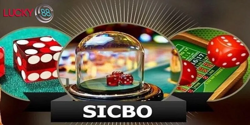 Bảng cược đa dạng giúp người chơi dễ dàng nắm bắt