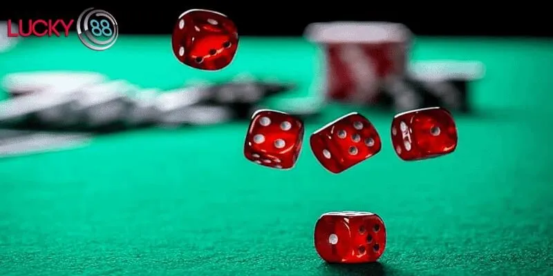 Trải nghiệm Sicbo Lucky88 với giao diện HD và hệ thống kết nối ổn định