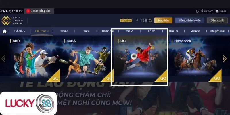Những môn thể thao cá cược nên thử